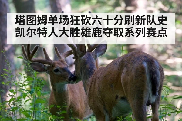 塔图姆单场狂砍六十分刷新队史凯尔特人大胜雄鹿夺取系列赛点