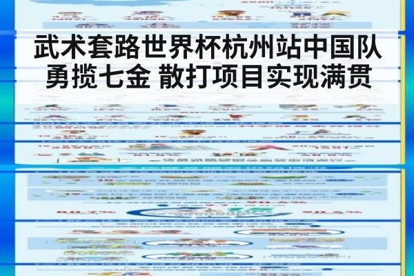 武术套路世界杯杭州站中国队勇揽七金 散打项目实现满贯